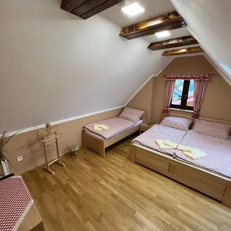 Ubytovani Arrow Lesna  Exterior photo
